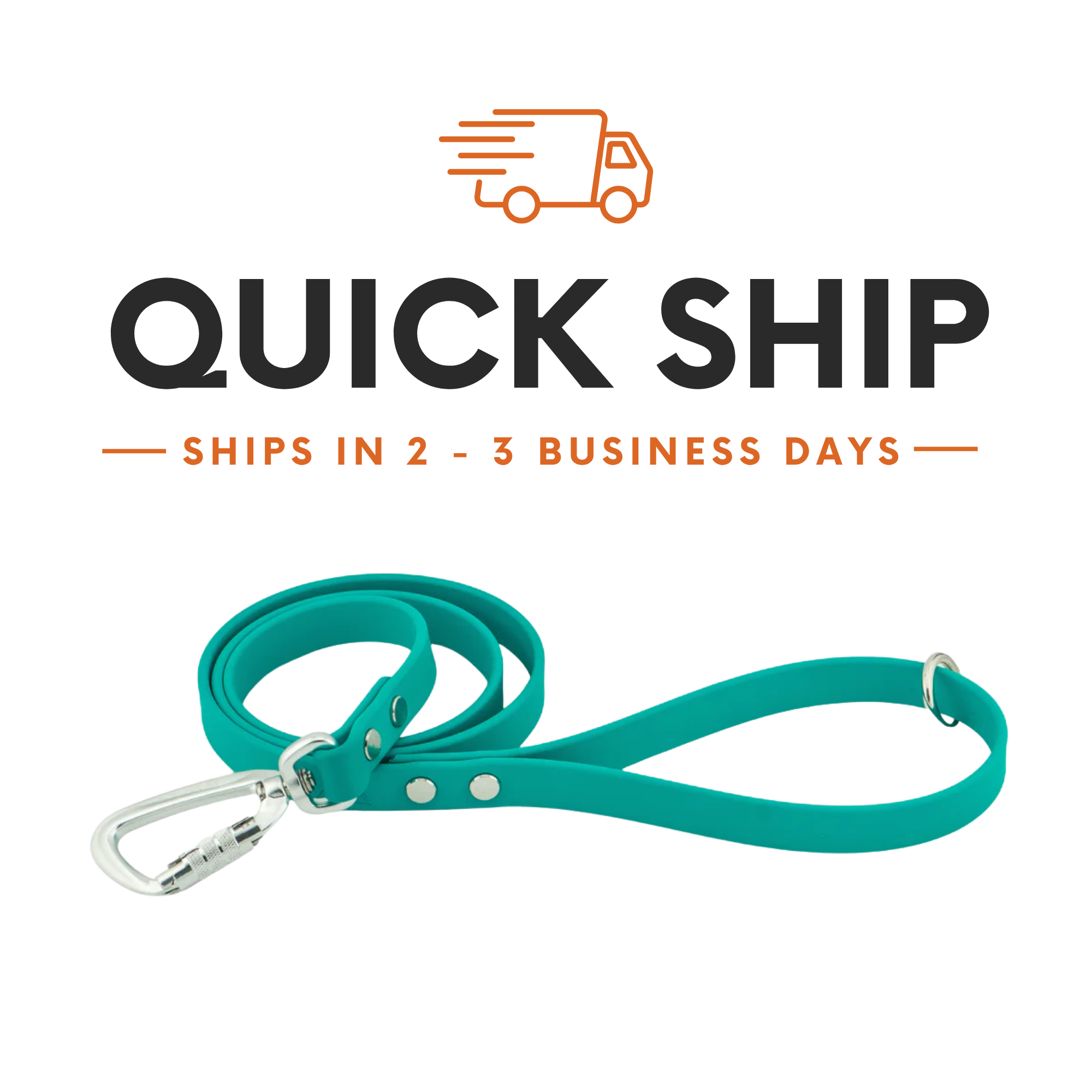 biothane dog leash quick shipping