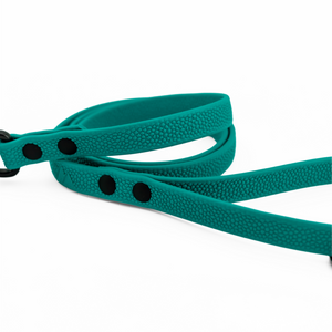 Pebble Grip BioThane® dog leash in teal with textured grip and stylish design for outdoor adventures.