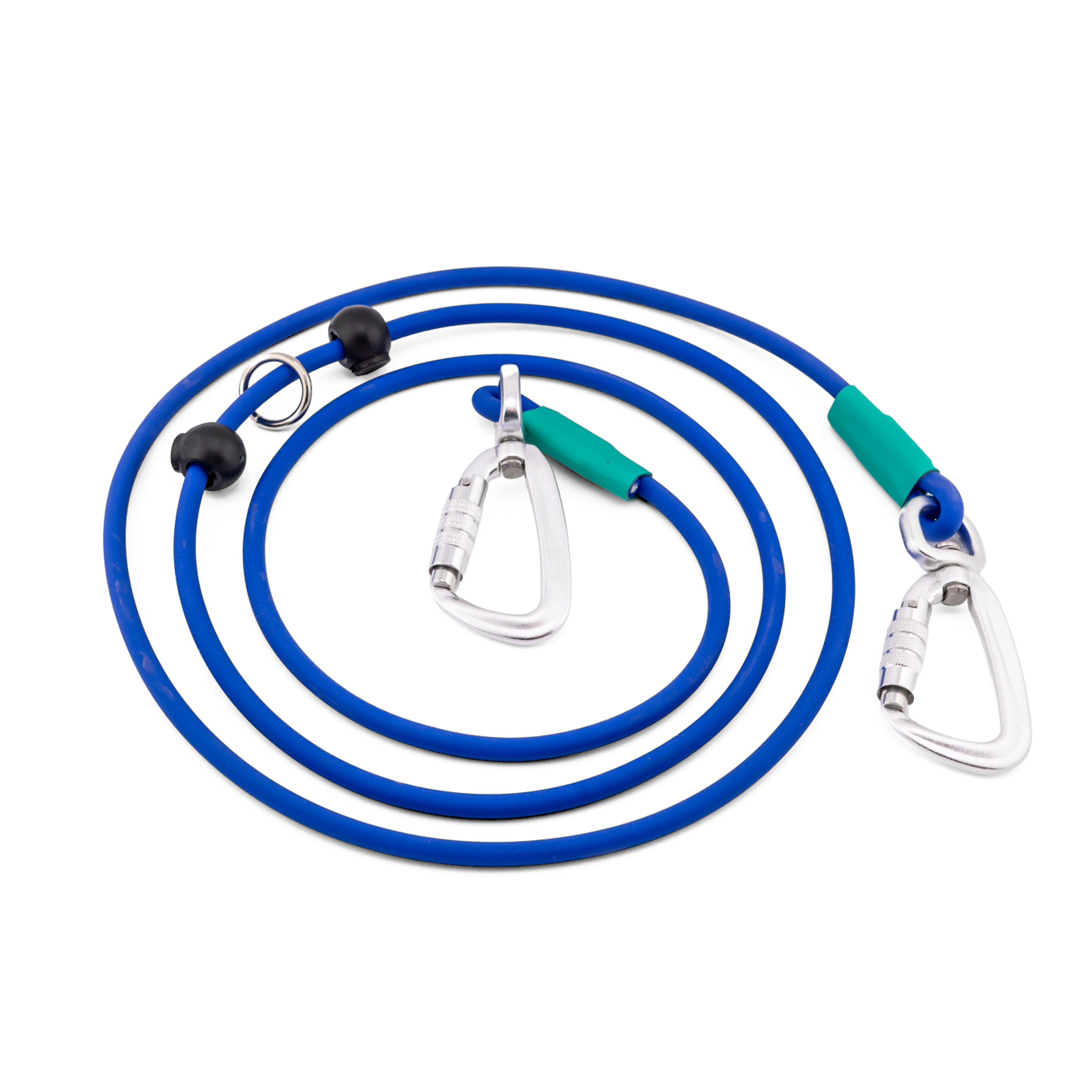 Blue hands-free BioThane® rope leash with carabiner clips, ideal for active dog owners.