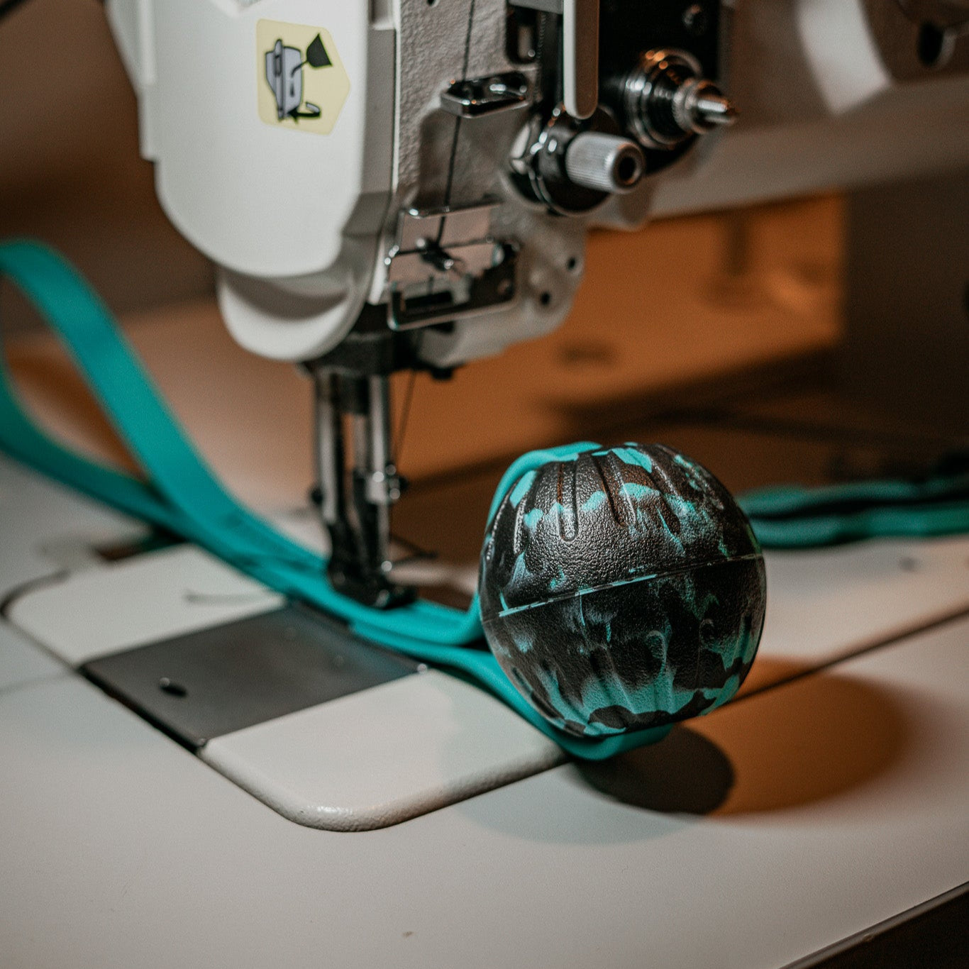 holiday dog products