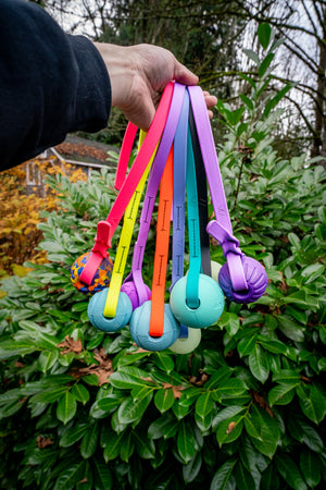 Colorful Biothane tug toys from the Tug of the Month Club, ideal for dog play and training.