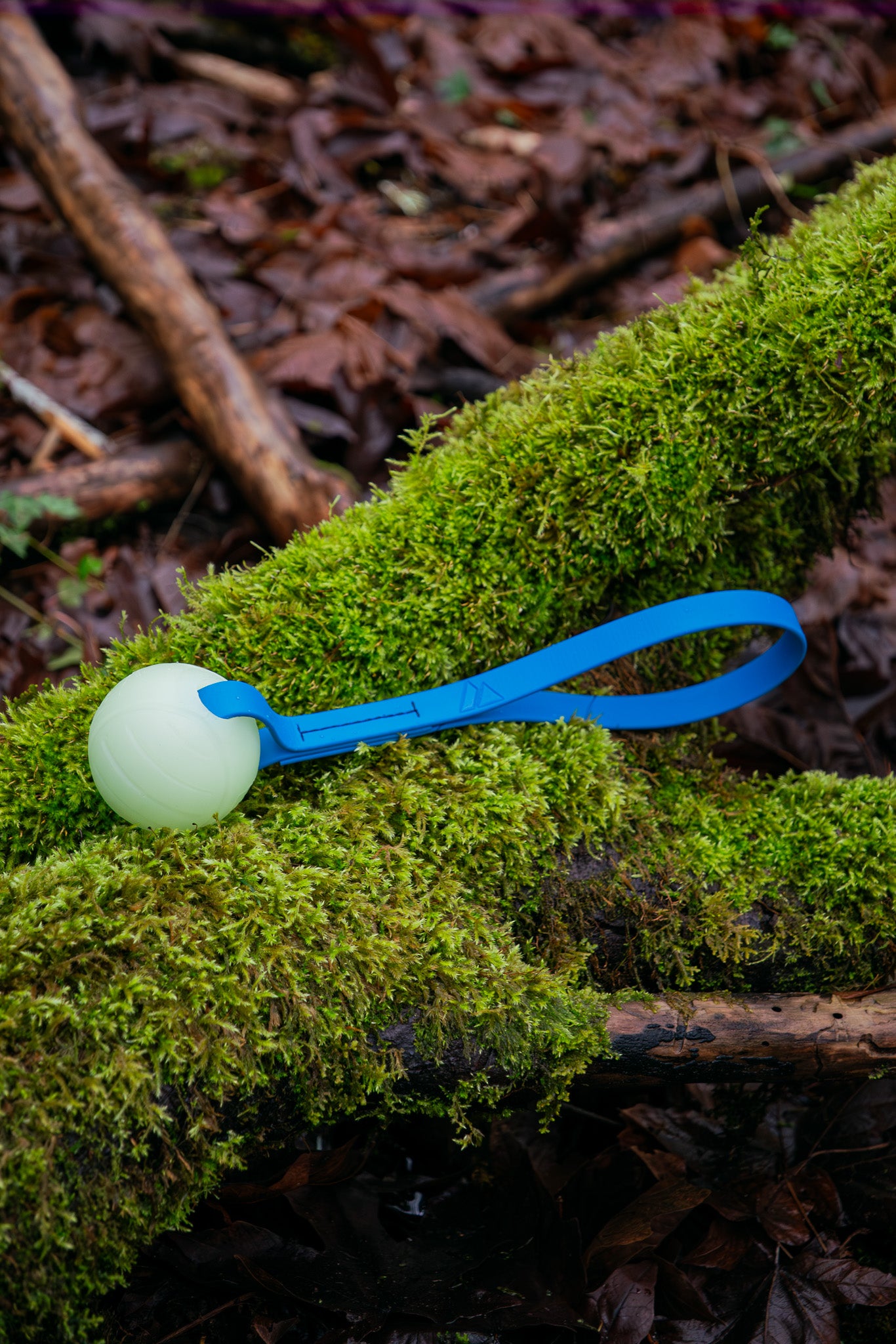 Voyager Sewn BioThane® Tug Toy