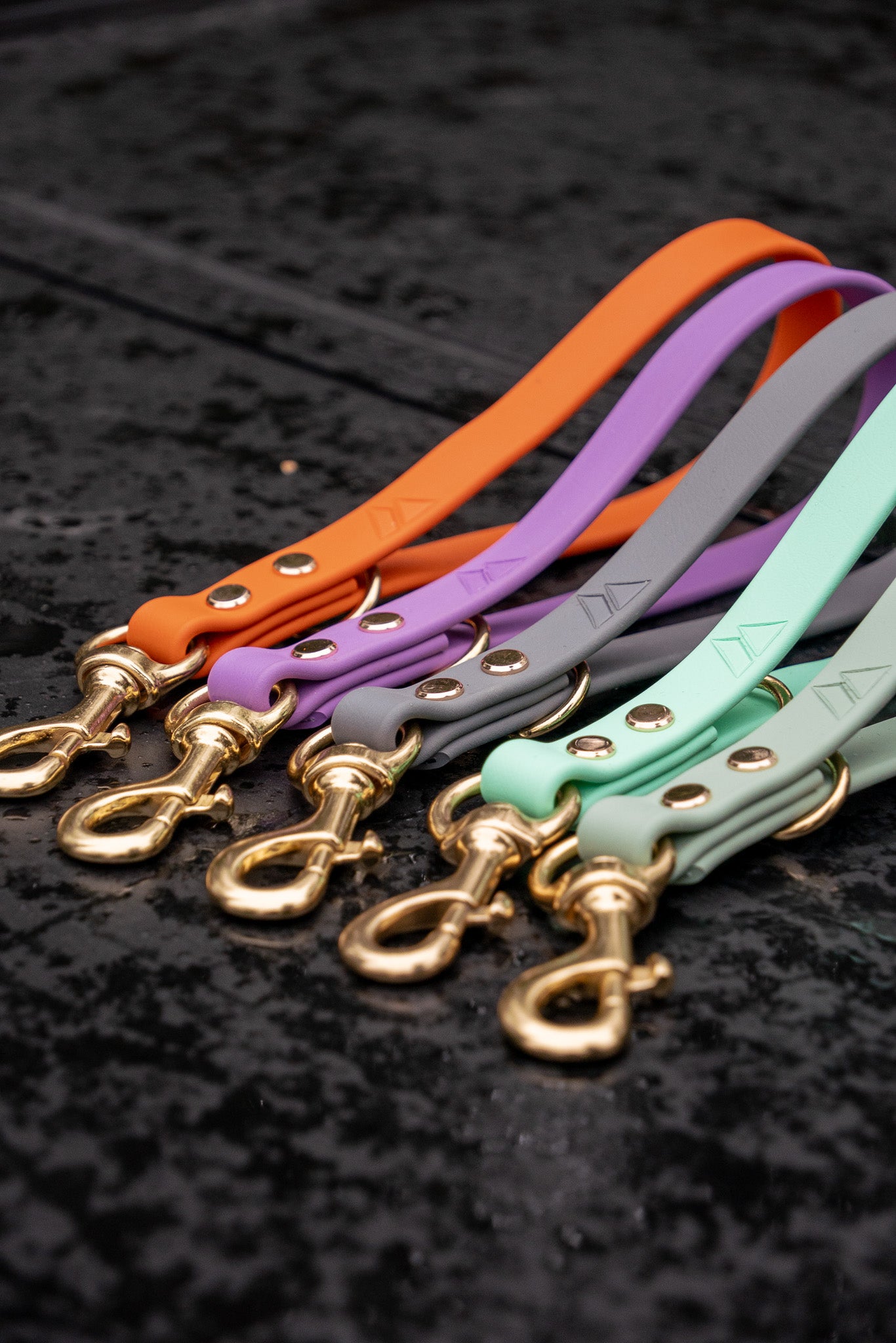 Voyager BioThane® Traffic Leash