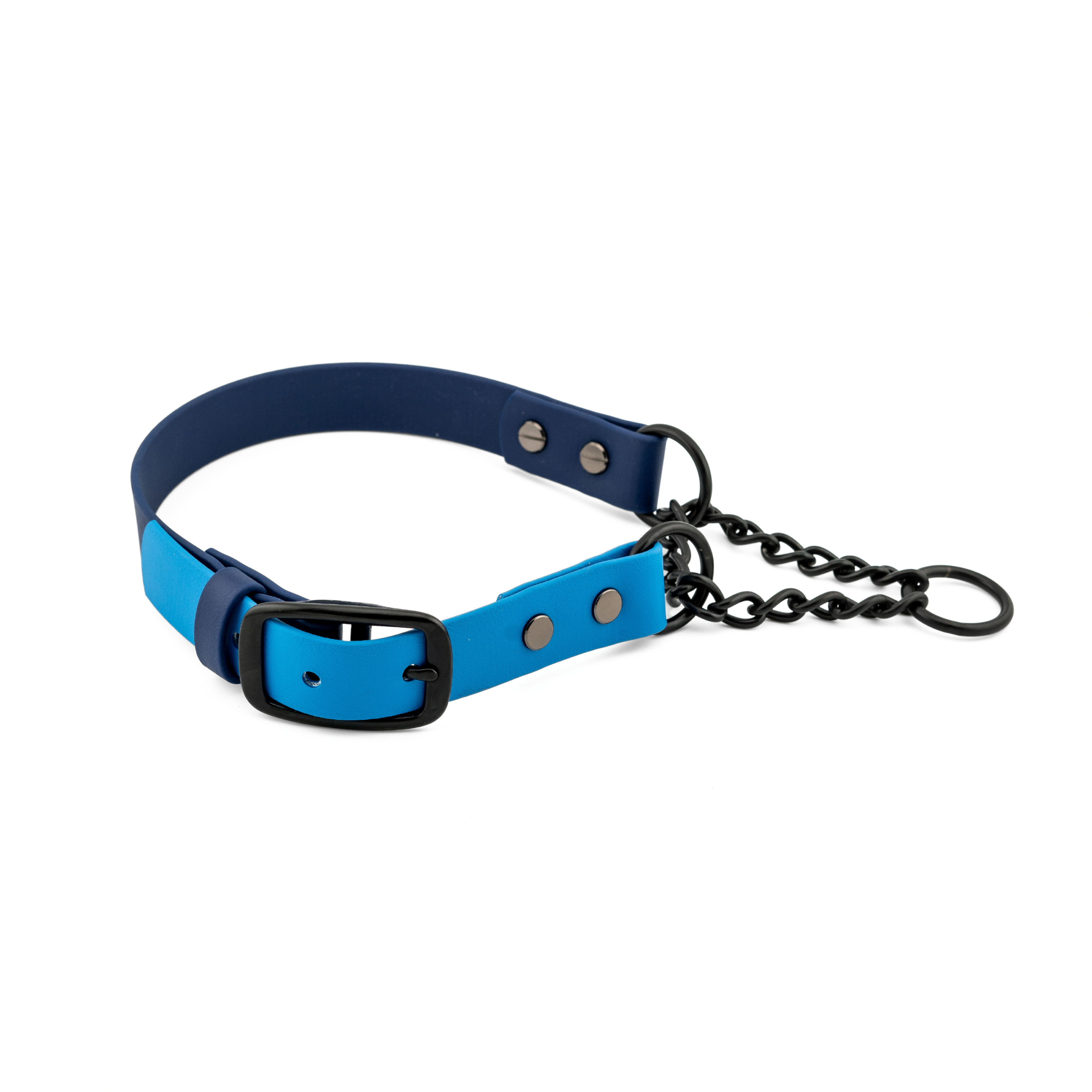 Adjustable BioThane® Martingale Dog Collar
