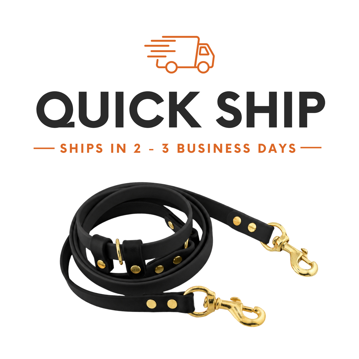 QUICK SHIP - Voyager BioThane Hands-Free Dog Leash