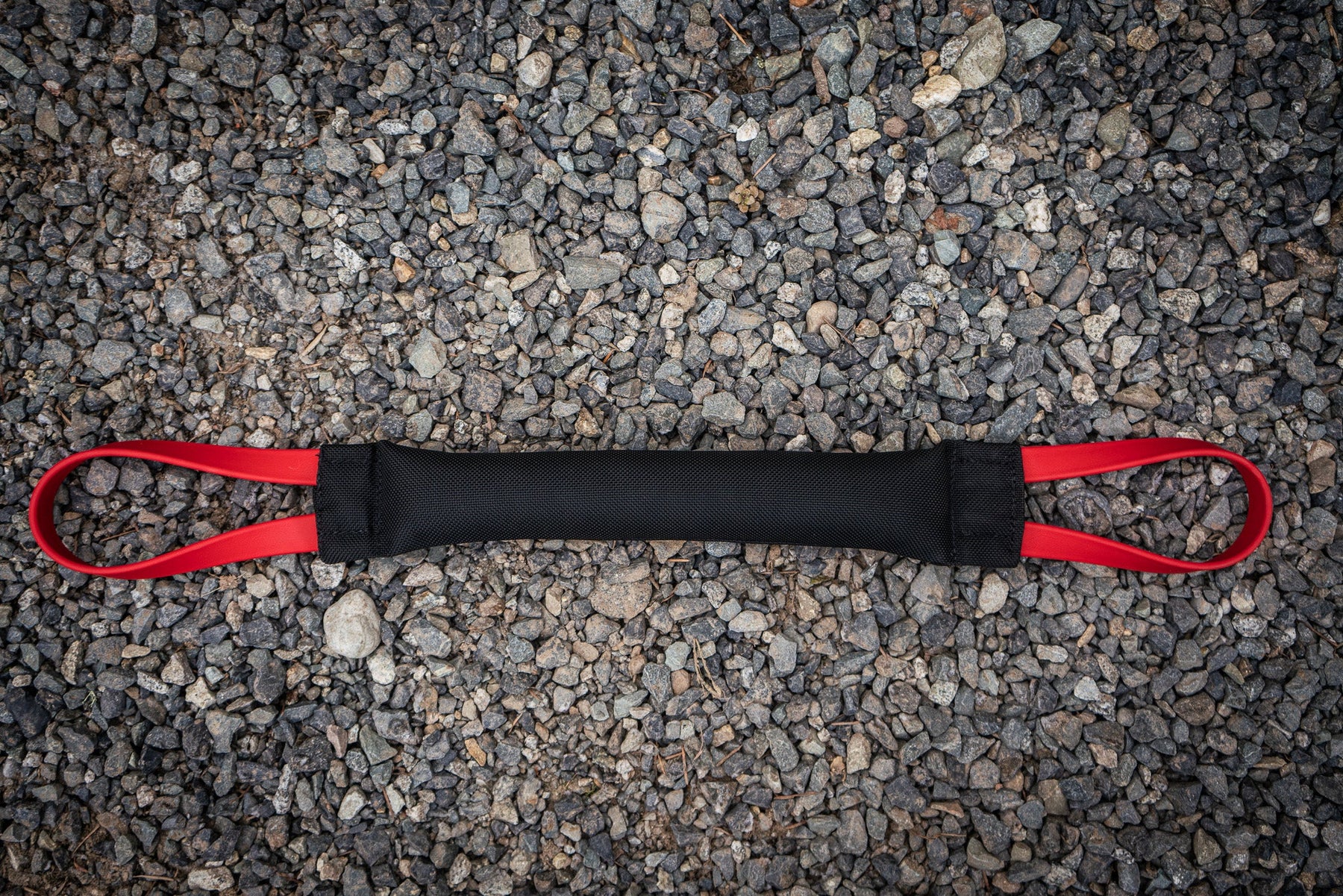 Discover the Ultimate Play Companion for Strong Dogs