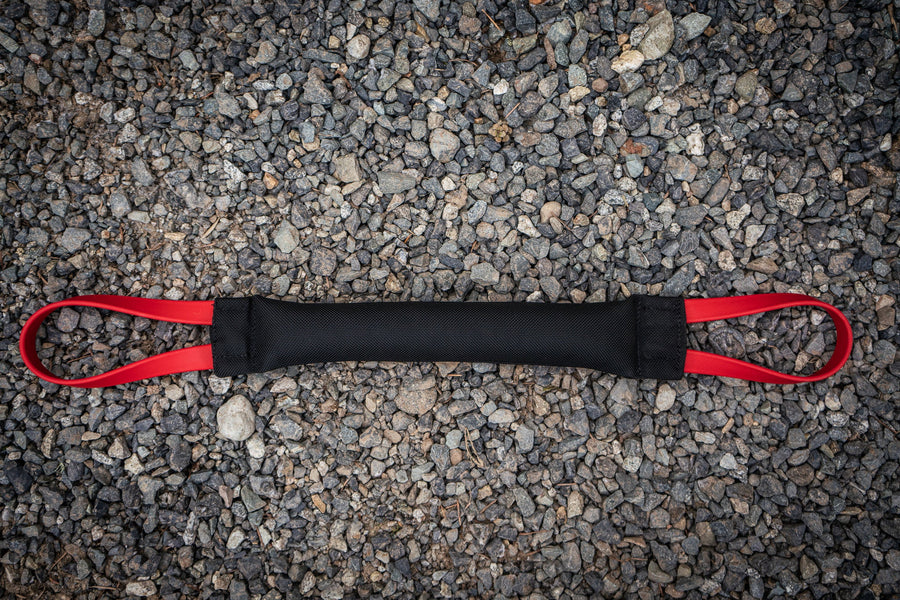 Discover the Ultimate Play Companion for Strong Dogs