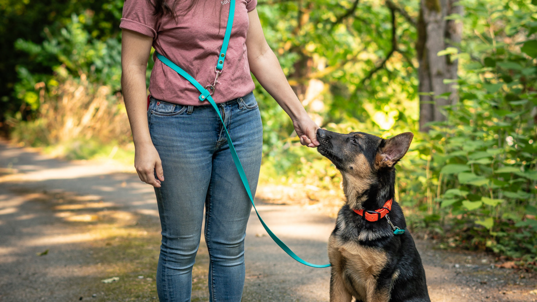 Top 5 Reasons Dog Trainers Love BioThane Leashes: Trusted by Professionals