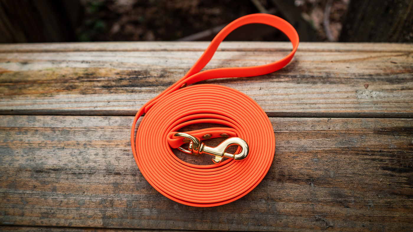 orange biothane long line with solid brass hardware sitting on a wooden spool