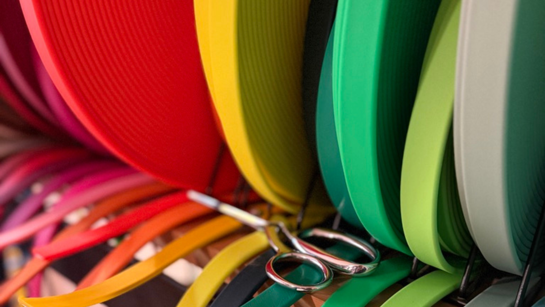 Top 5 Reasons BioThane® Is the Best Material for Dog Leashes