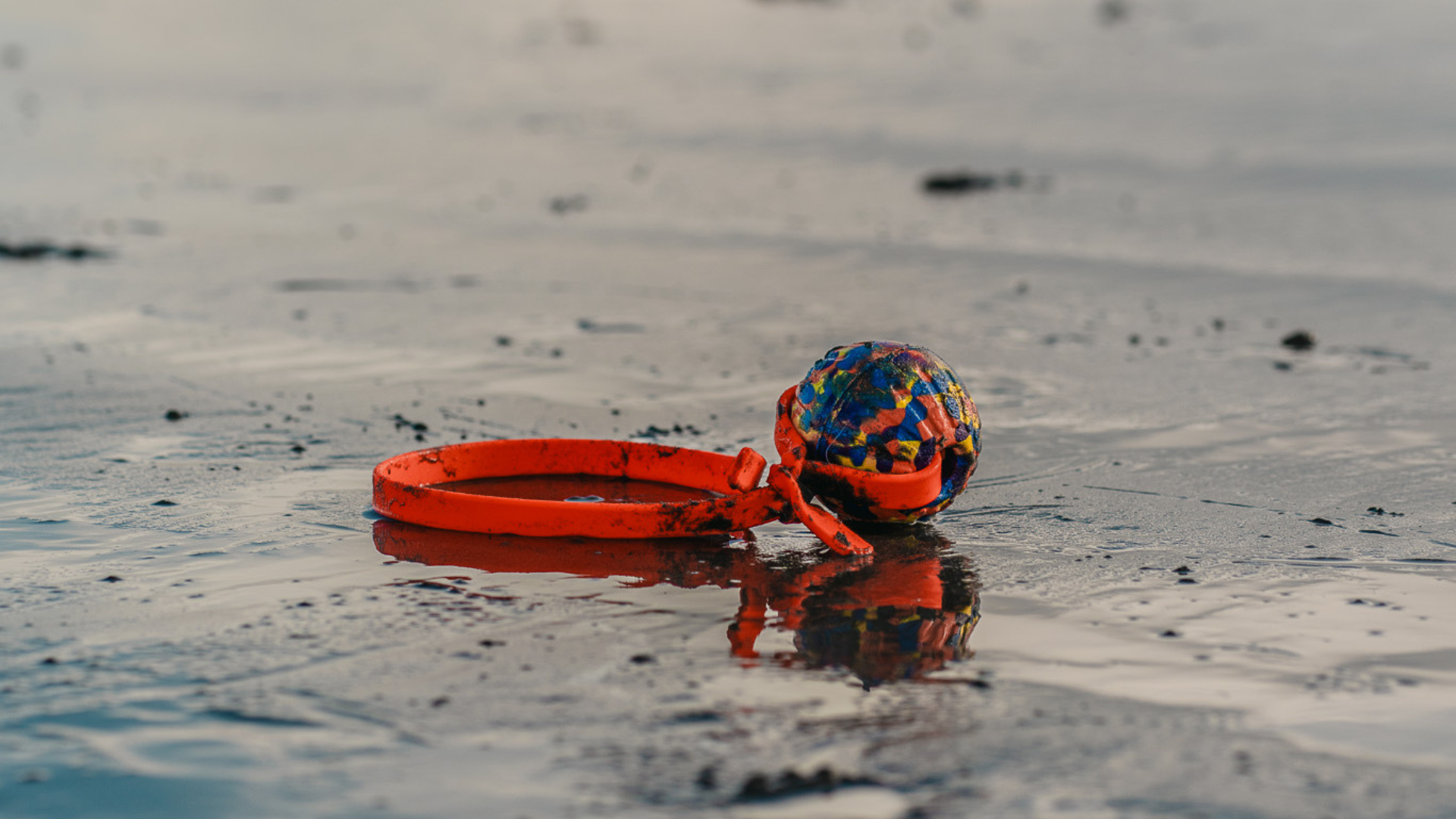 biothane ball tug on beach