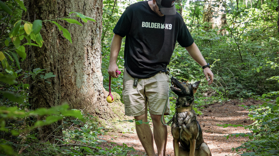 How Long Should a Dog Leash Be?
