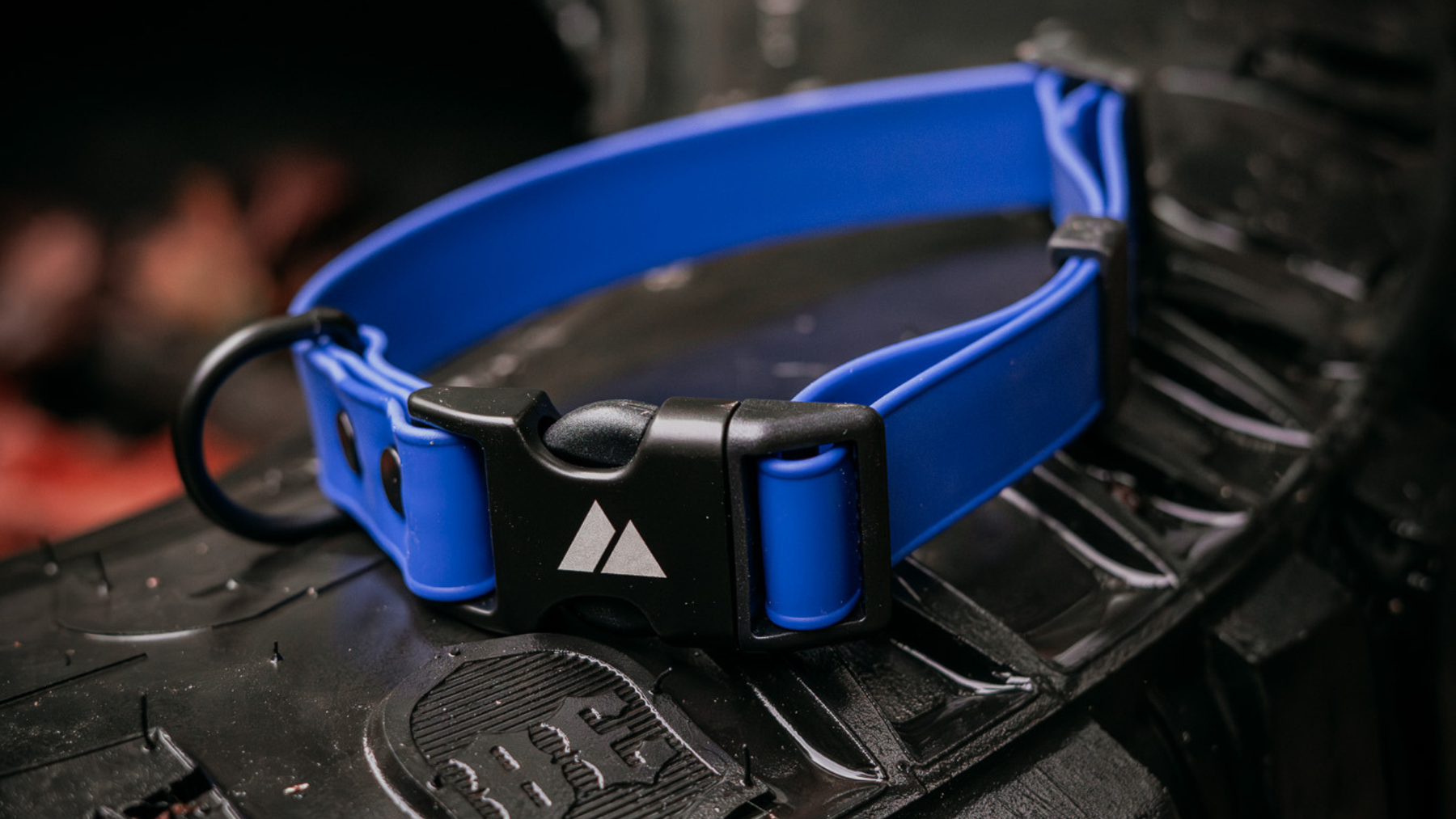 BioThane® vs Nylon: Which Dog Leash Material Lasts Longer?