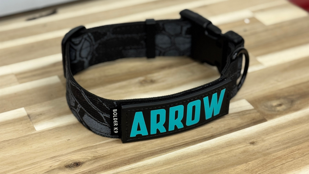 tactical dog collar with a custom removable velcro patch