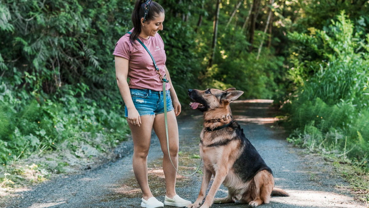 How to Teach Your Dog to Walk on a Hands-Free Leash