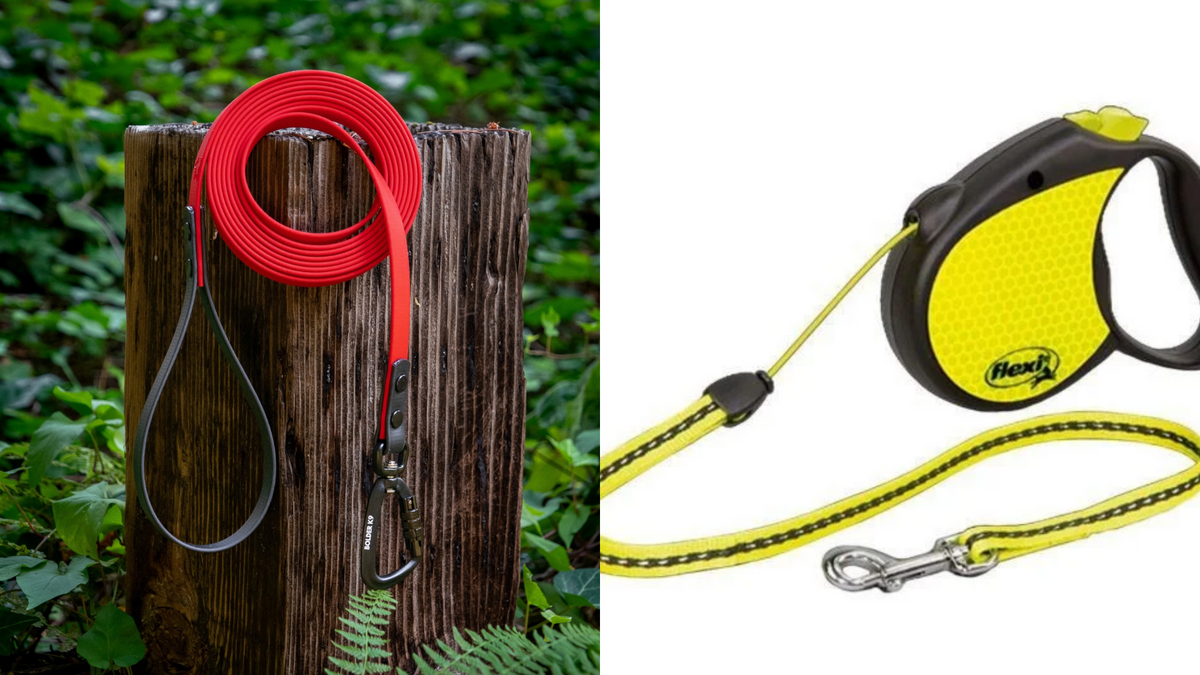 long line versus retractable leash