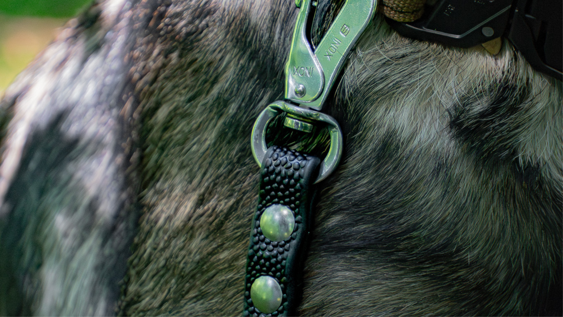 Need a Leash with Better Grip? Here's Why Pebble Grip BioThane® Is Worth Considering