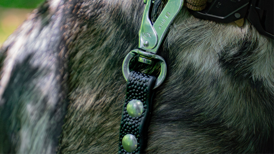 Need a Leash with Better Grip?
