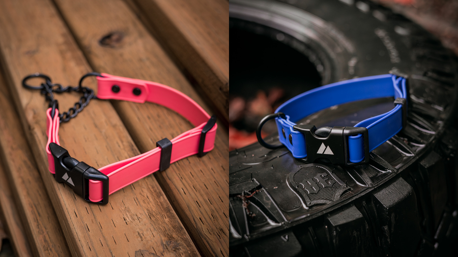 BioThane Collar vs. BioThane Martingale