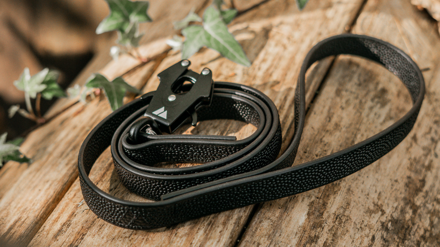 Biothane Leash for Dogs: Standard vs. Hands-Free, What’s Best for You?