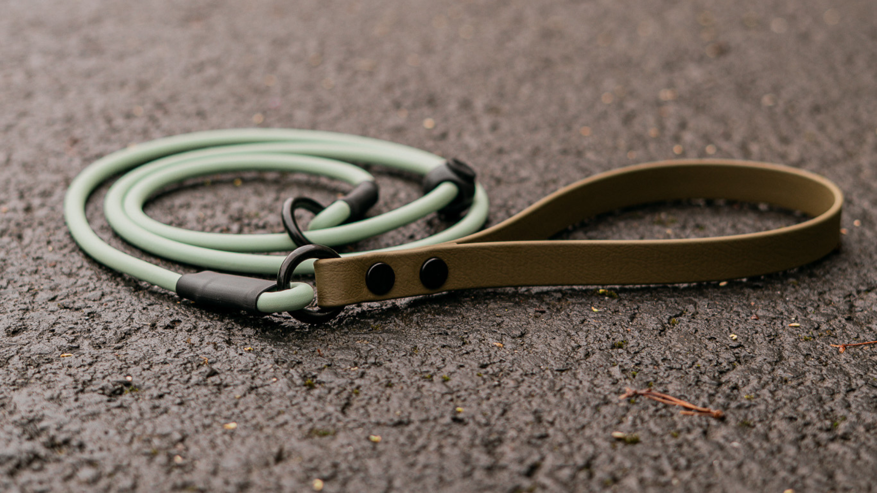 5 Unique Gifts for Dog Trainers That Actually Get Used