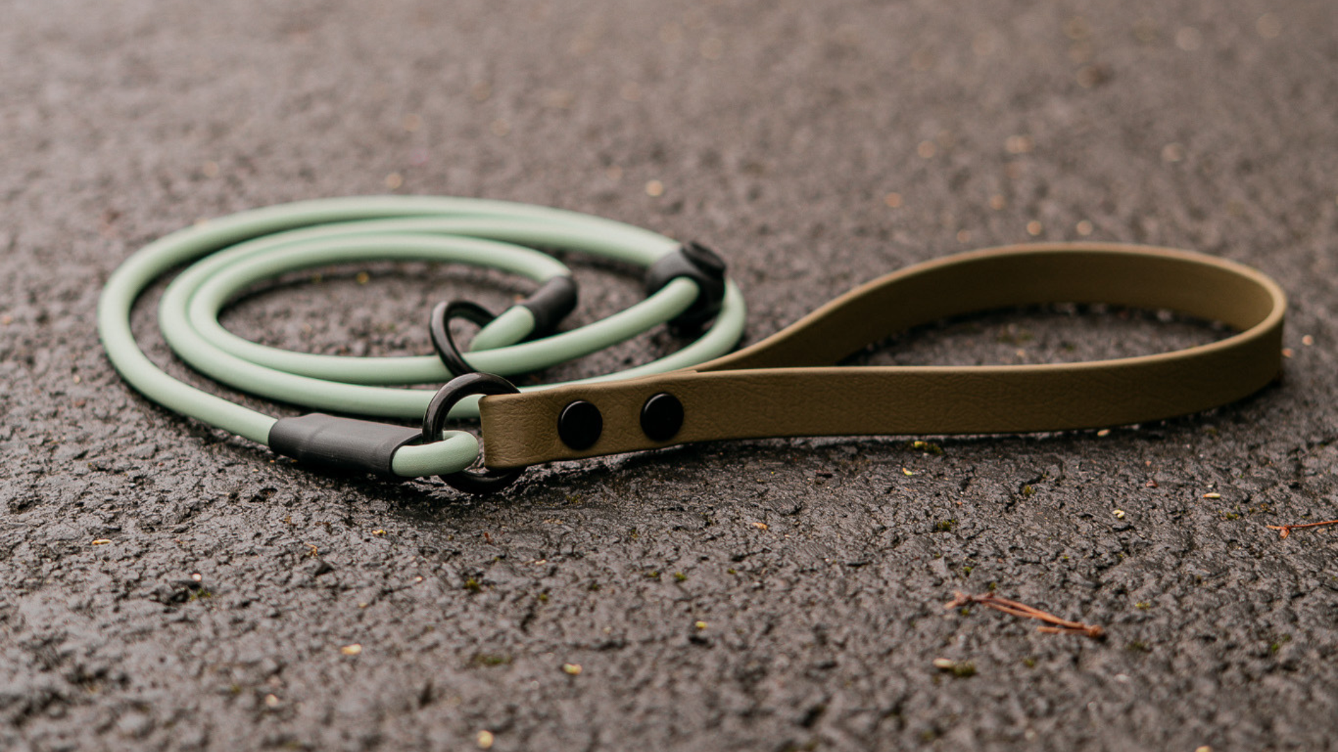 5 Unique Gifts for Dog Trainers That Actually Get Used