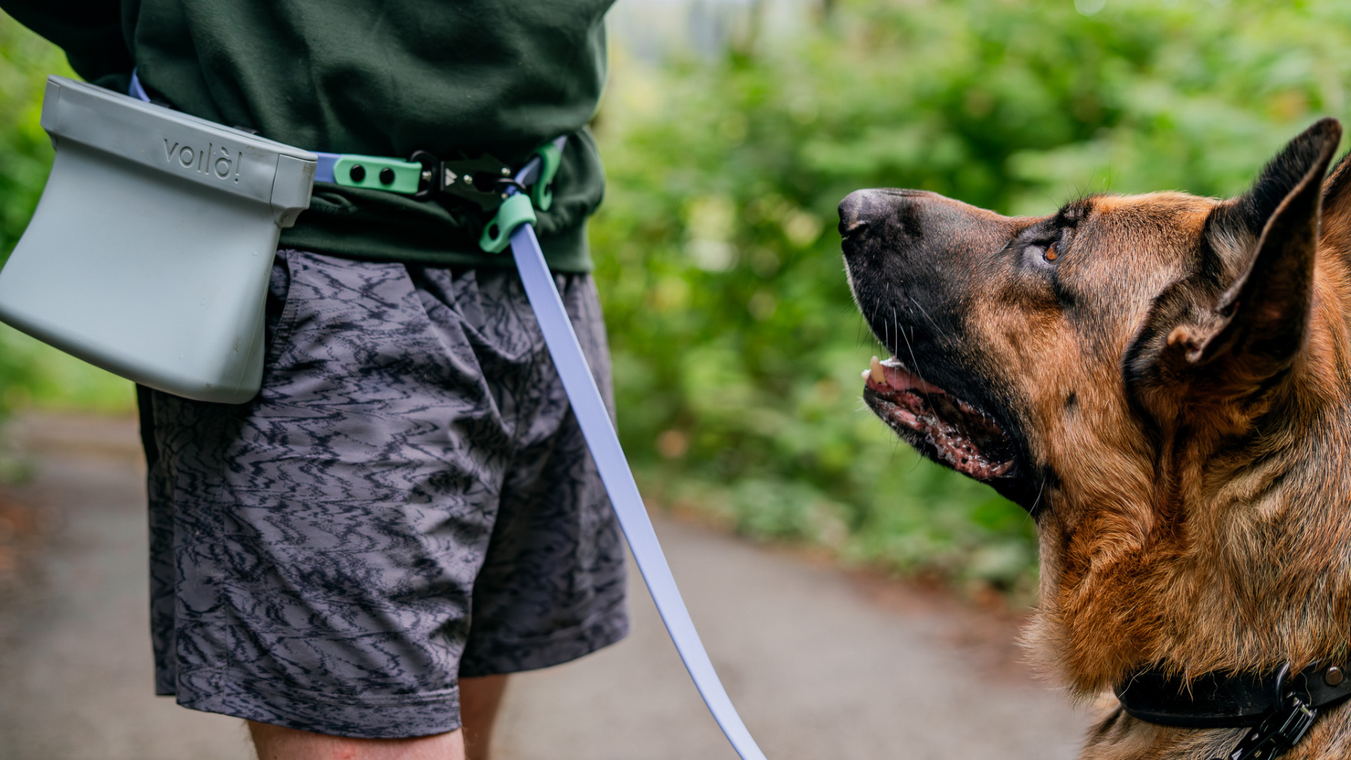 Hands-Free Dog Leashes: What's the Hype?
