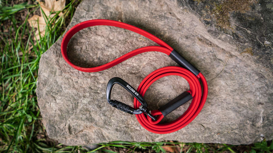 The Professional Sewn Leash