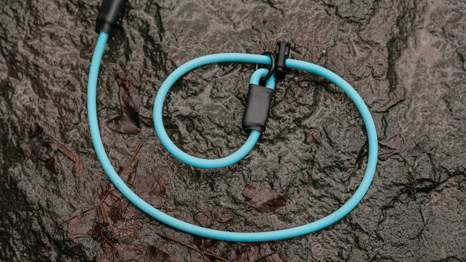 BioThane® Rope Slip Lead