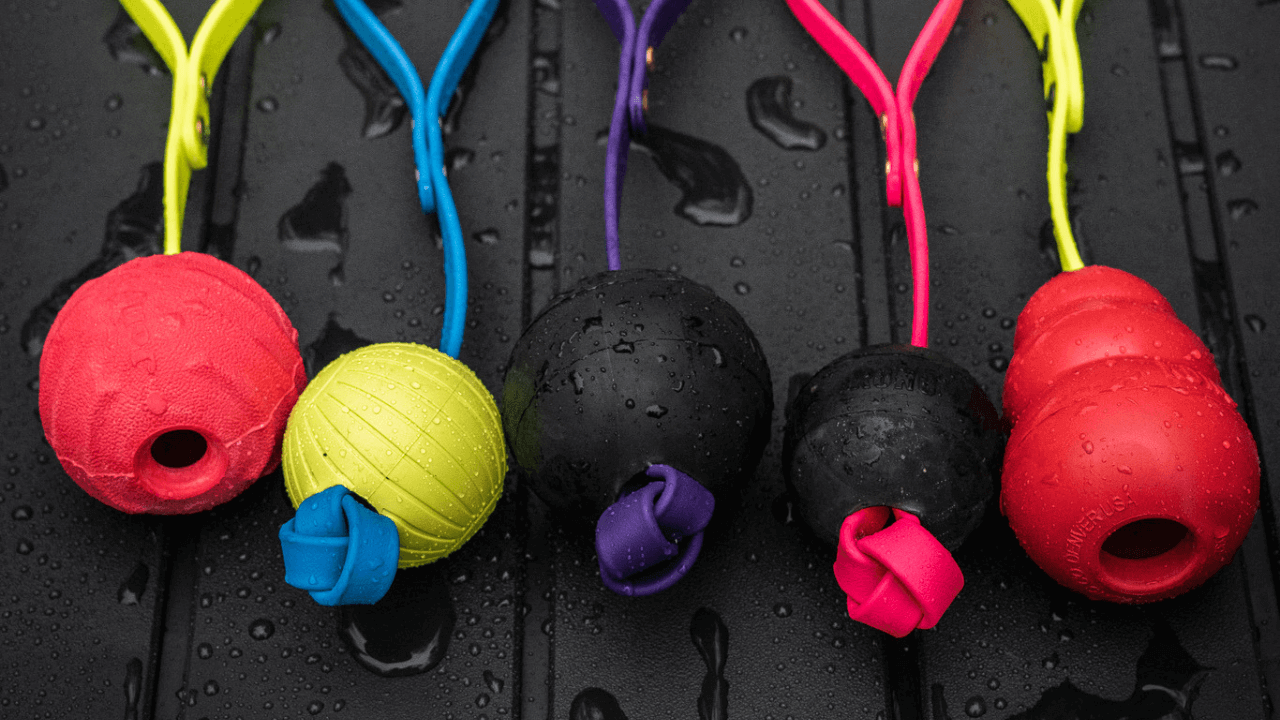 How to Care for Your BioThane Tug Toy