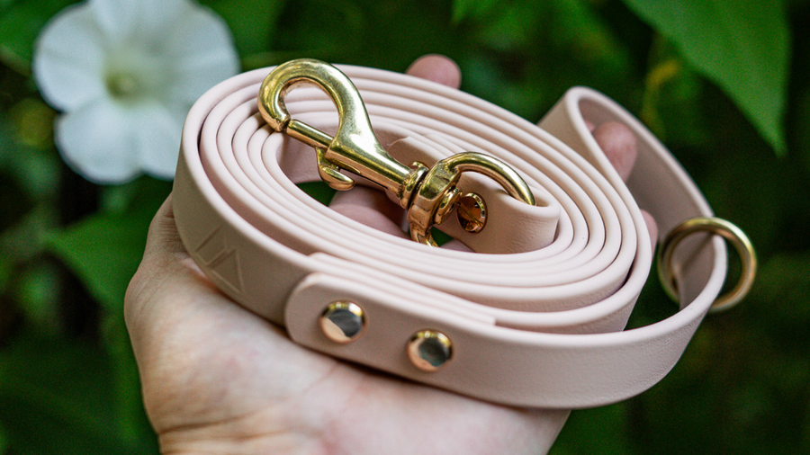 Biothane vs. Leather and Nylon: A Comprehensive Comparison