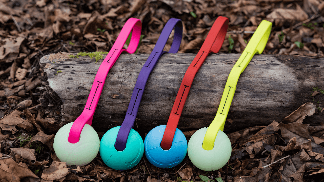 Choosing the Right Tug for Your Pup