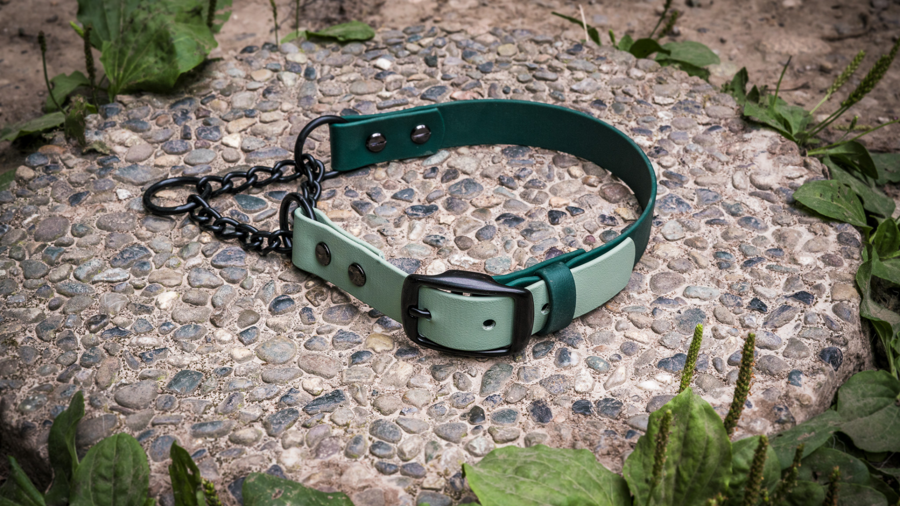 The Benefits of Biothane Martingales