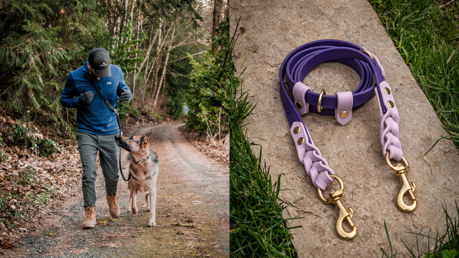 Discover the Benefits of a Cross Body Leash
