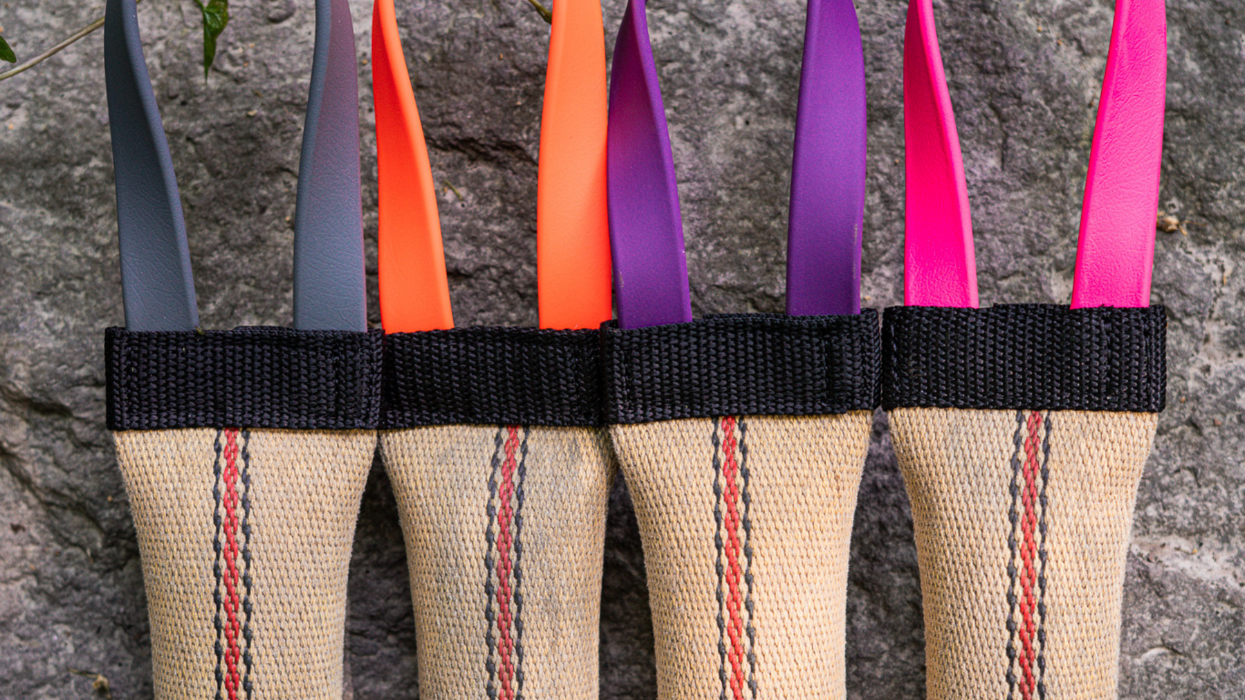The Beginner's Guide to Tug Toys for Dogs