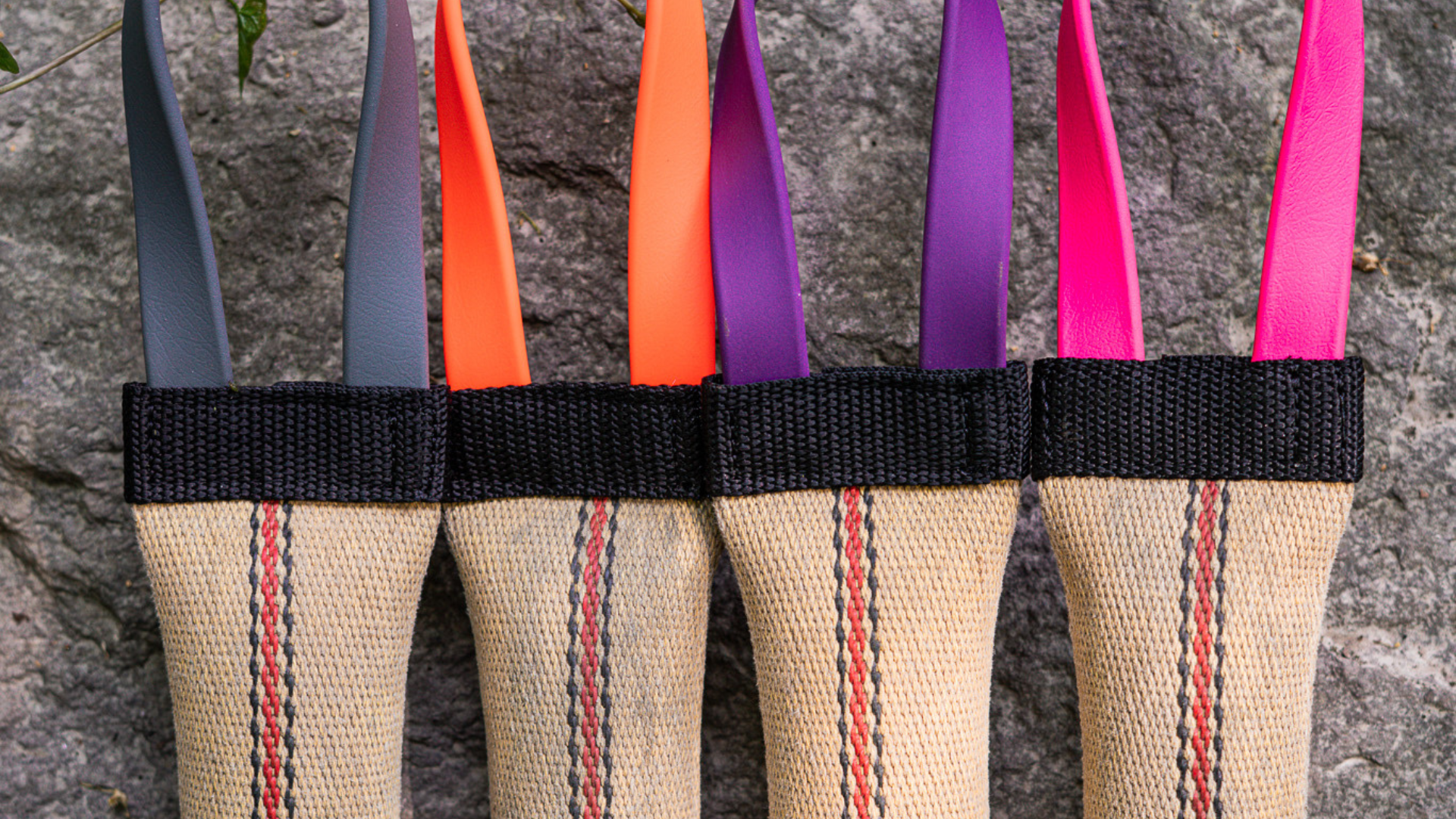 The Beginner's Guide to Tug Toys for Dogs