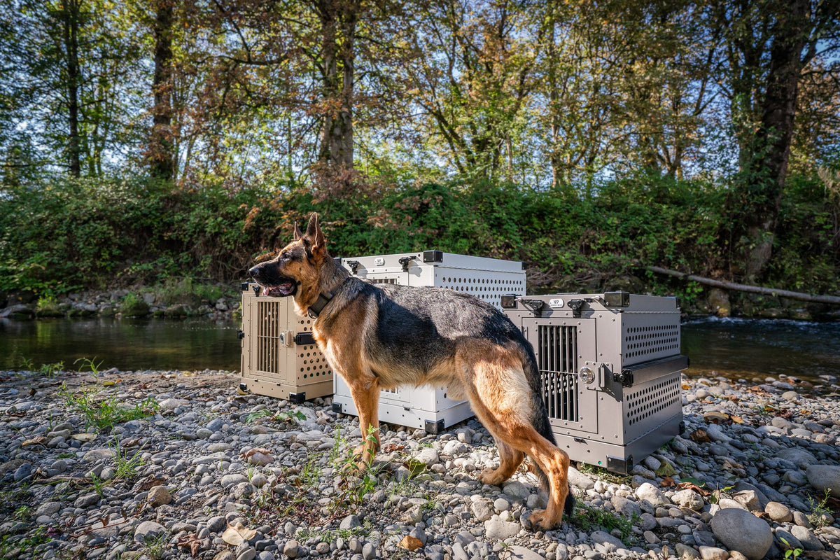 Dog Crates