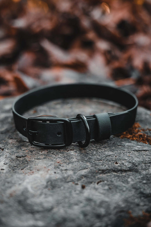 Collars
