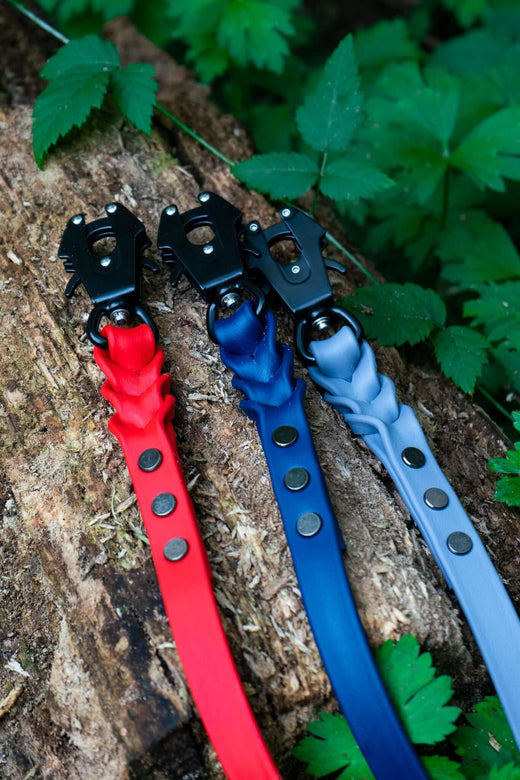 Standard Leashes