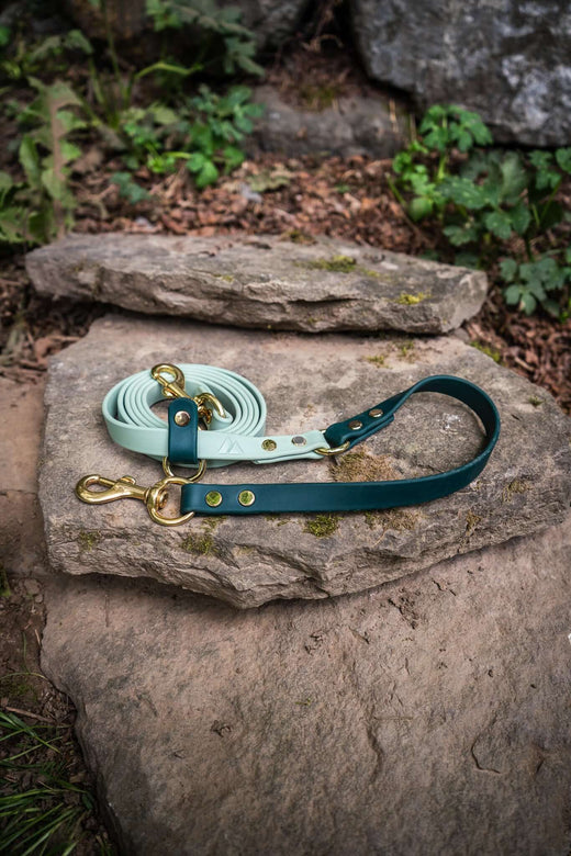 Hands-Free Leashes