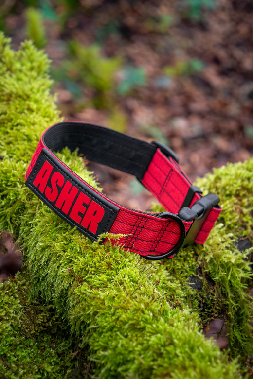Tactical Collars