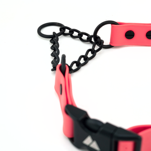 ECO 1" Adjustable BioThane Martingale close-up showing chain link and adjustable collar design.