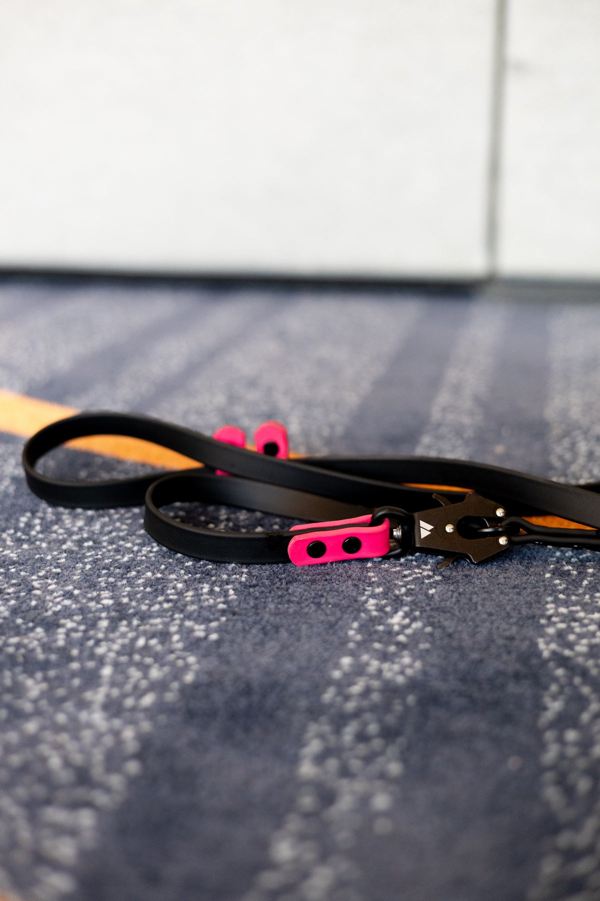 Waterproof dog leash and collar being cleaned