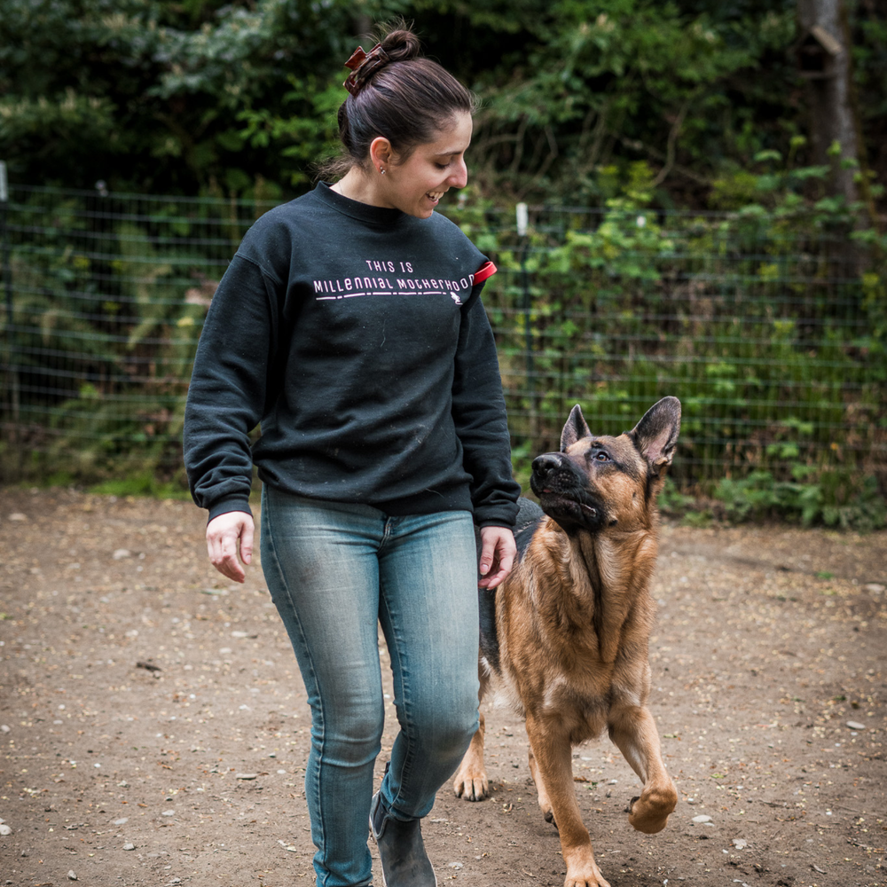 Durable BioThane dog gear for rescue dogs and active handlers