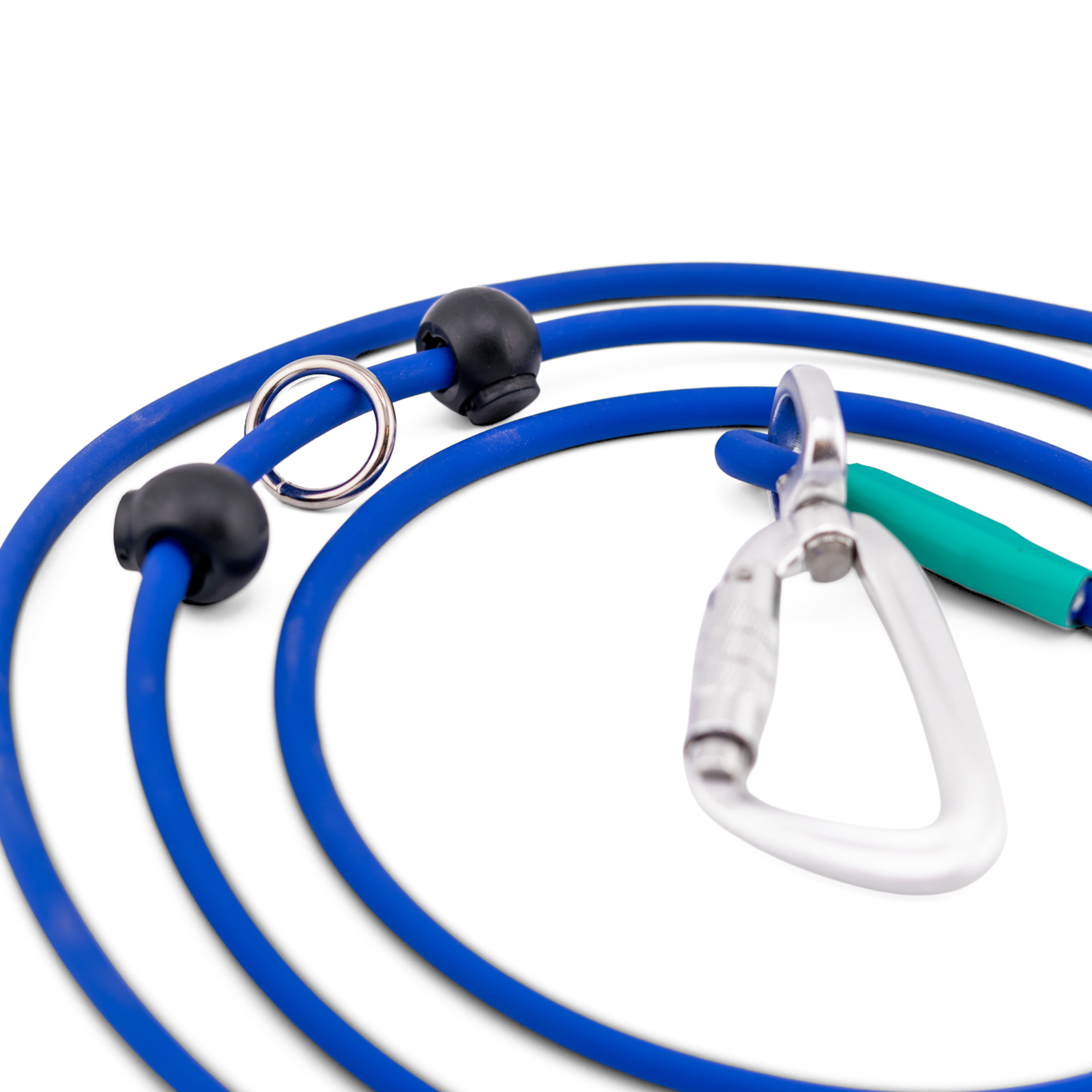 Close-up of a blue hands-free BioThane rope leash with clip and attachment points for active dog owners.