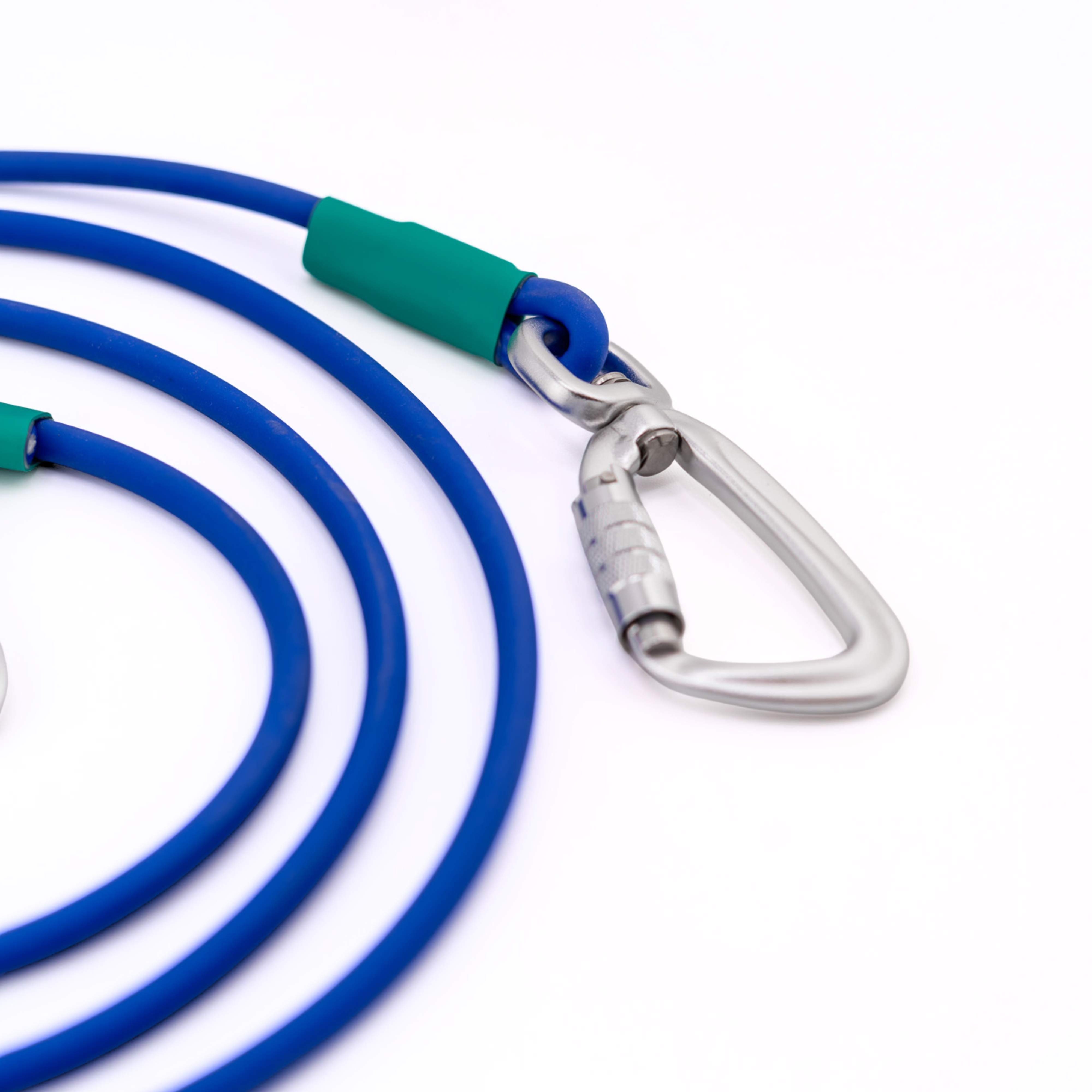 Close-up of a blue BioThane® rope leash featuring a metal carabiner and colorful grips.