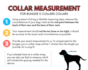 Infographic on measuring a dog's neck for bungee e-collars with visual instructions and tips.