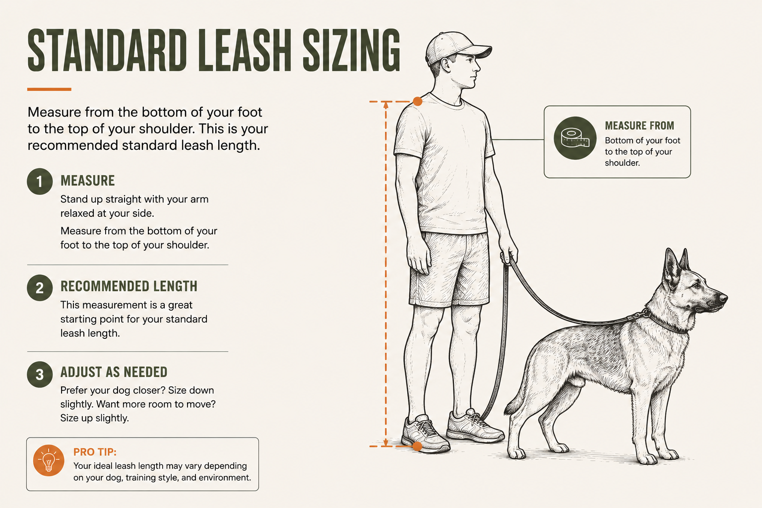 Standard leash sizing guide