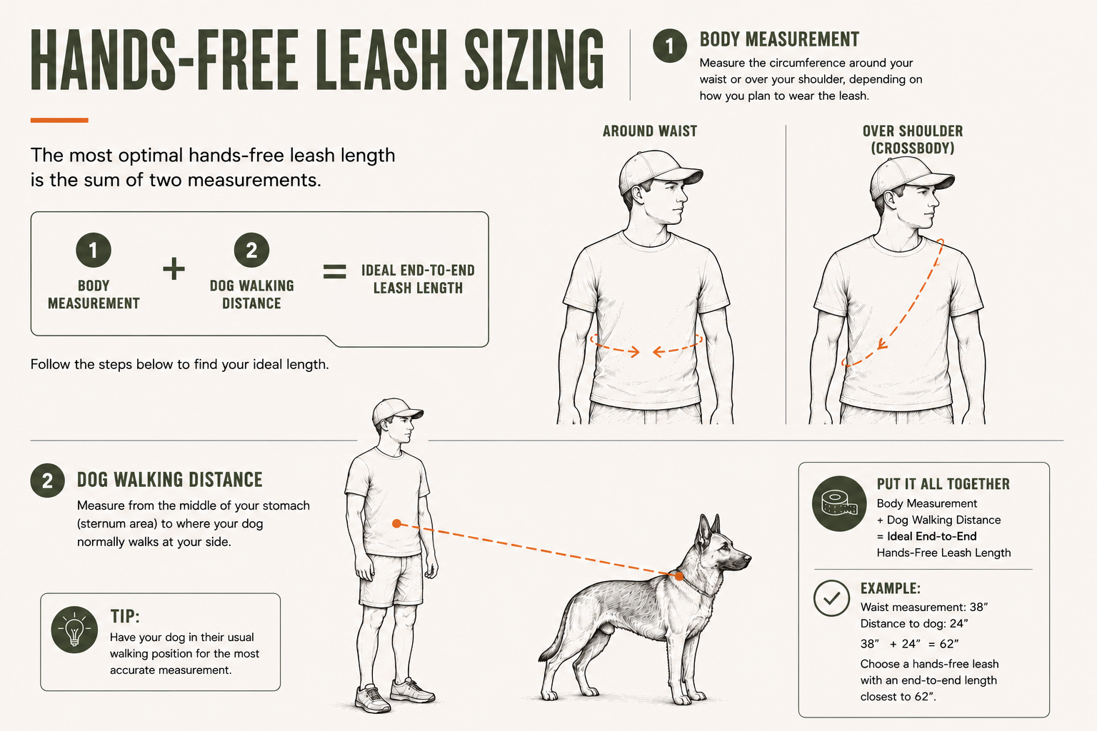 Hands free leash sizing guide