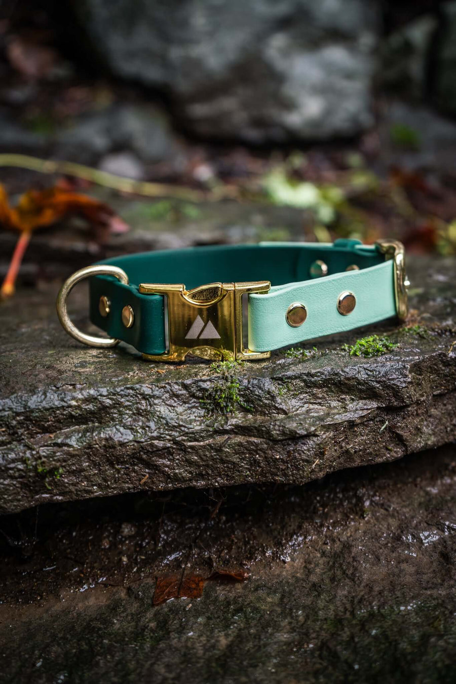 Waterproof BioThane hiking dog collar